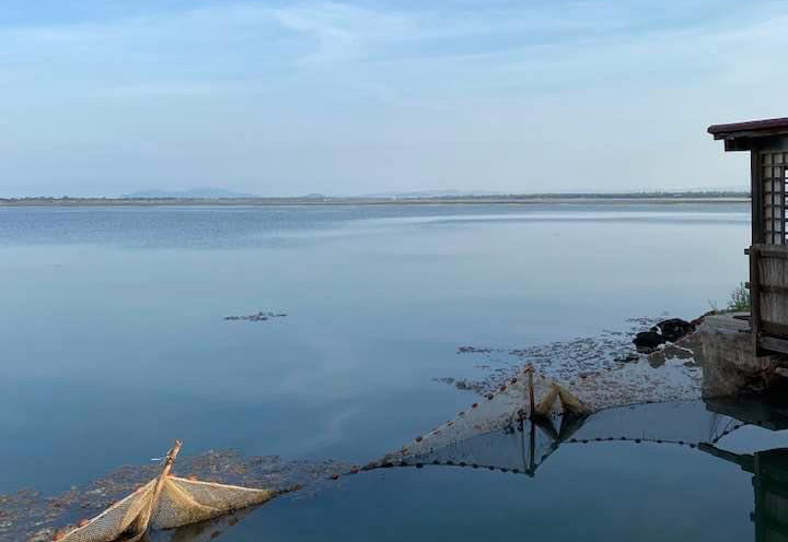 Orbetello ieri 11 Settembre