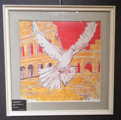Foto mostra 12