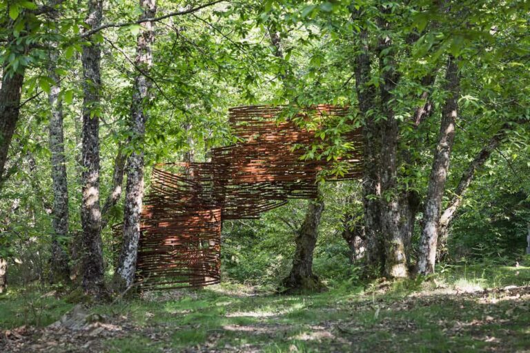 Mete d’autunno |  Tra foliage, feste della castagna e mostre d’arte