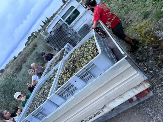 WhatsApp Image 2025 11 02 at 10.10.14