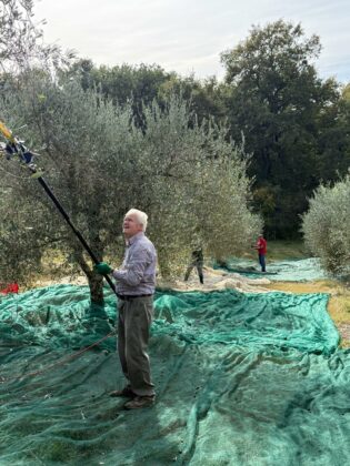 WhatsApp Image 2025 11 02 at 10.10.15