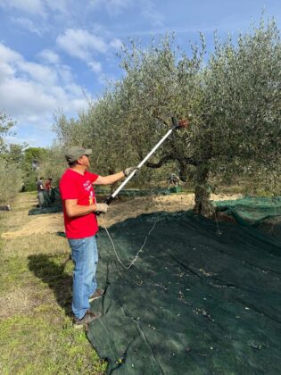 WhatsApp Image 2025 11 02 at 10.10.15 copia 2