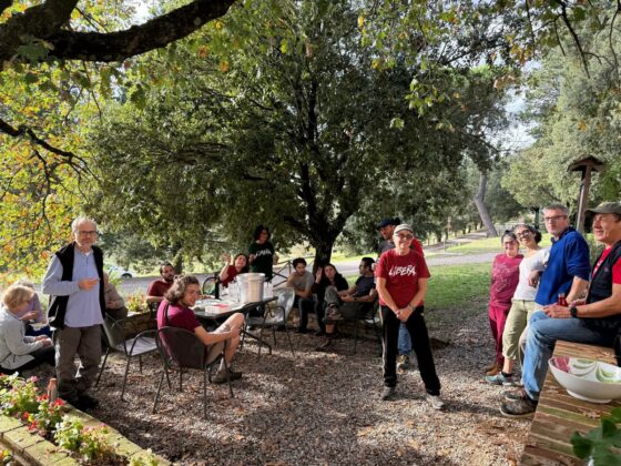 WhatsApp Image 2025 11 02 at 10.10.15 copia