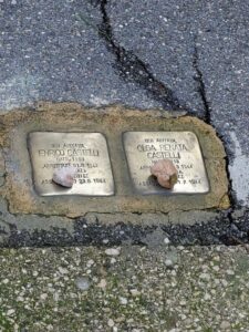 WhatsApp Image 2026 01 27 at 13.57.37 copia 2