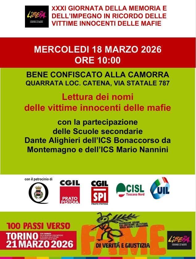 WhatsApp Image 2026 03 13 at 12.04.32