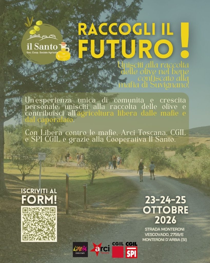 “Raccogli il futuro”: a Suvignano tre giorni di raccolta delle olive nel bene confiscato alla mafia 1 WhatsApp Image 2026 10 15 at 11.35.23